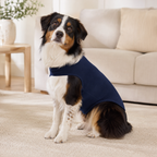 Anxiety Comfort Vest