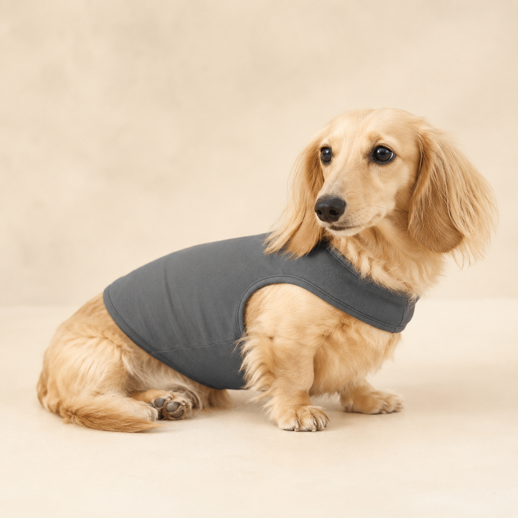 Anxiety Comfort Vest