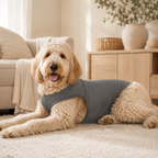 Anxiety Comfort Vest
