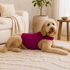 Anxiety Comfort Vest