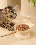 Cat Feeding Bowl