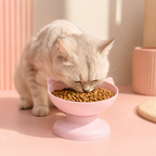 Cat Feeding Bowl